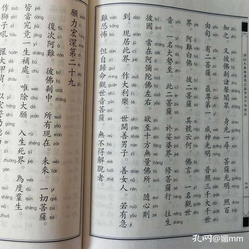 易經(jīng) 中華經(jīng)典誦讀教材傳統(tǒng)文化中國哲學(xué)宗教易經(jīng)雜說占卜入門圖解雜說智慧全書易經(jīng)入門國學(xué)經(jīng)典書籍兒童啟蒙讀物