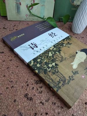 超值上新!國(guó)學(xué)文化最佳啟蒙讀物!覆蓋中小學(xué)課本必考國(guó)學(xué)知識(shí),最美母語(yǔ)為孩子打造詩(shī)韻童年!